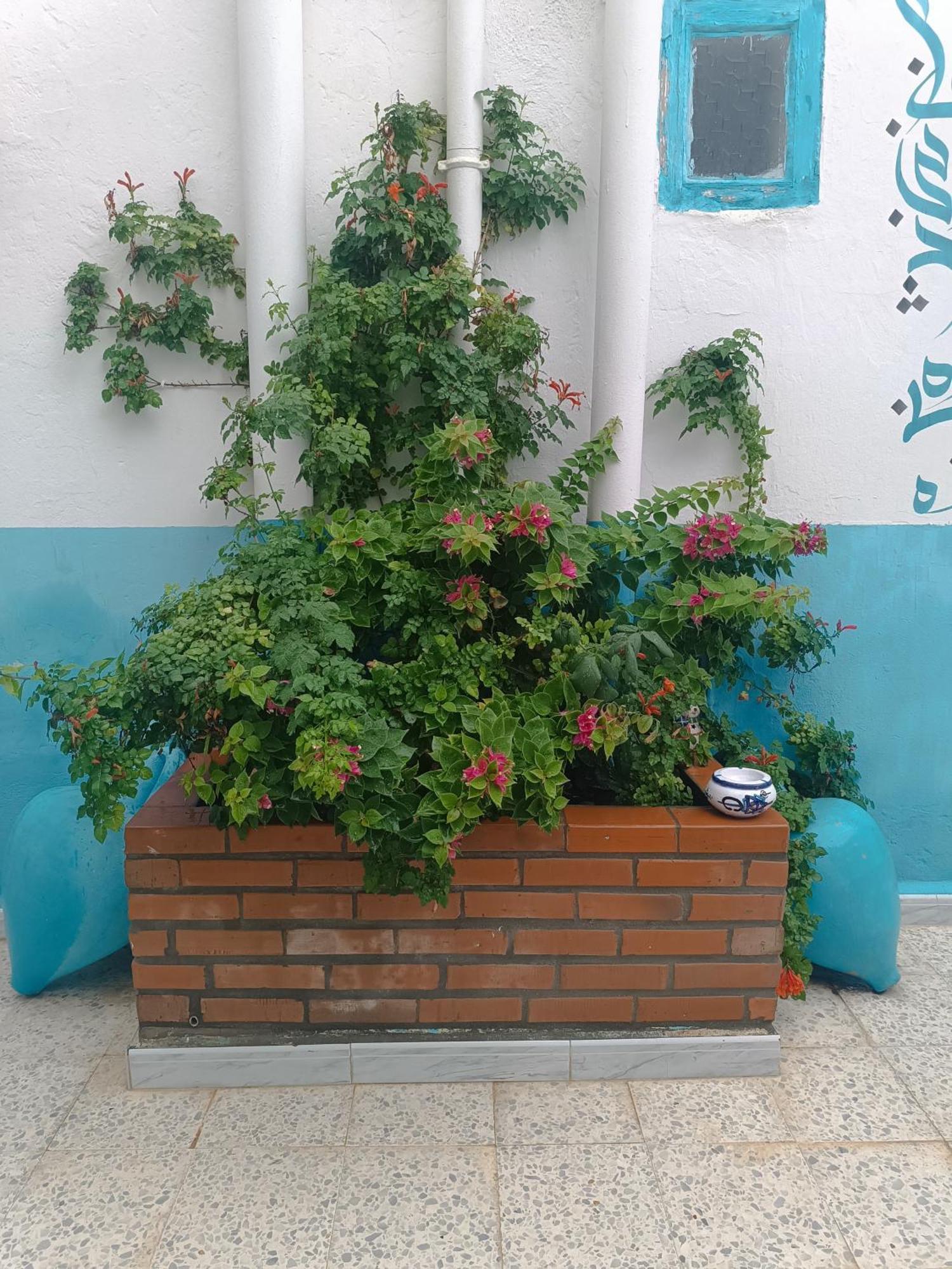 Dar Hkaiem Hotel Hammam Sousse Buitenkant foto